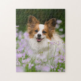 Quebra-cabeça Papillon Cachorro Cute Retrato Romântico