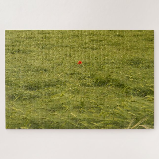 Quebra-cabeça Papoila solitária no campo verde - Muito difícil (Horizontal)