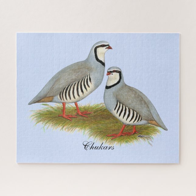 Quebra-cabeça Par de Chukar Partridge (Horizontal)