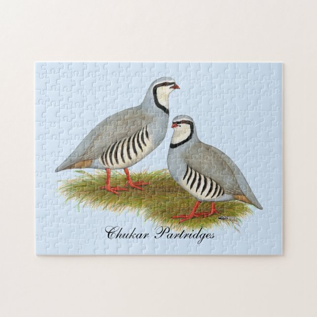 Quebra-cabeça Par de Chukar Partridge (Horizontal)