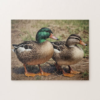 Quebra-cabeça Par de Patos-Reais