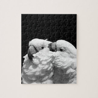 Quebra-cabeça Pares de cockatoos do guarda-chuva