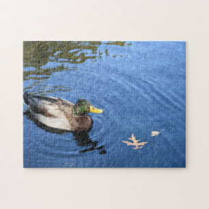 Quebra-cabeça Parque Central NYC Conservatório Água Mallard Duck