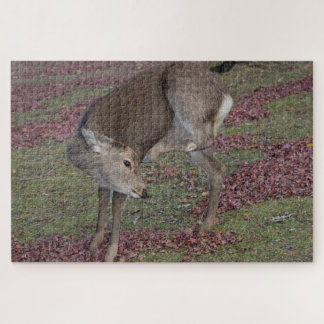 Quebra-cabeça parque de nara 2024