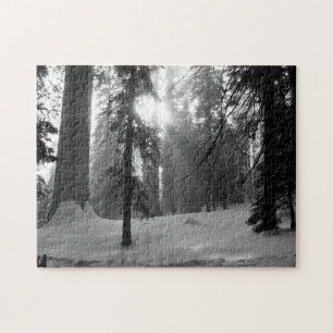 Quebra-cabeça Parque Nacional da Neve de inverno em Kings Canyon