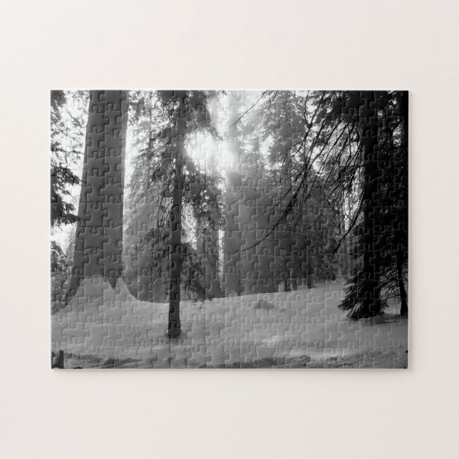 Quebra-cabeça Parque Nacional da Neve de inverno em Kings Canyon (Horizontal)