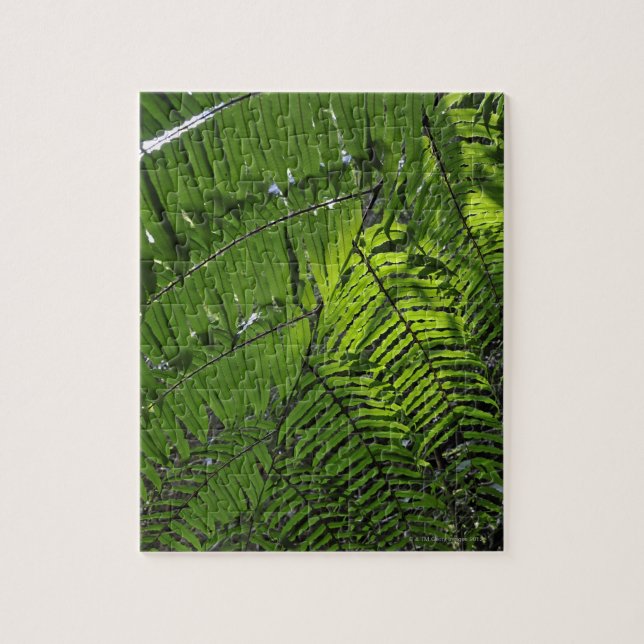 Quebra-cabeça Parque nacional das mães de Bach (Vertical)
