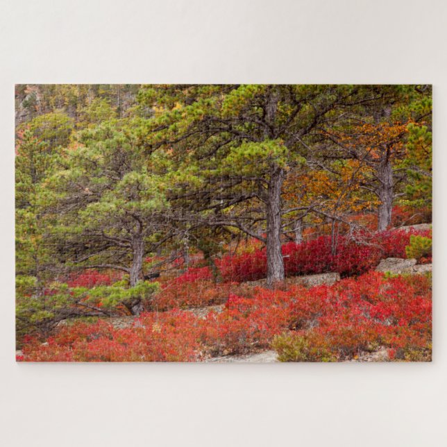Quebra-cabeça Parque Nacional de Acadia, Maine (Horizontal)
