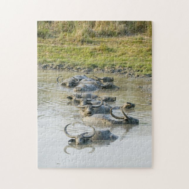 Quebra-cabeça Parque Nacional de Buffalo Kaziranga. (Vertical)