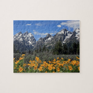 Quebra-cabeça Parque nacional grande de Teton