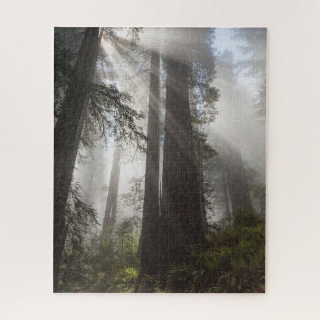 Quebra-cabeça Parque Nacional Redwood Califórnia (Vertical)