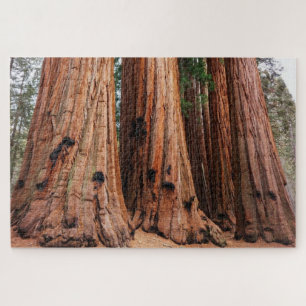 Quebra-cabeça Parque Nacional Sequoia