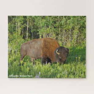 Quebra-cabeça Parque Nacional Yellowstone Bison