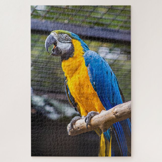 Quebra-cabeça Parrot Puzzle (Vertical)