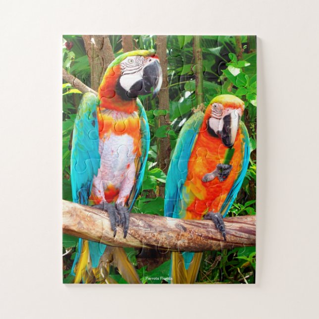 Quebra-cabeça Parrots Florida Jigsaw Puzzle (Vertical)