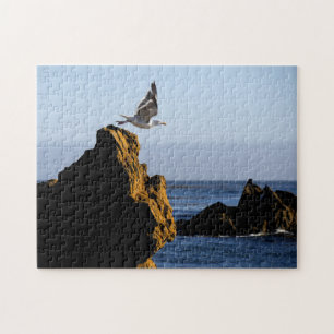 Quebra-cabeça Partes de Seagull