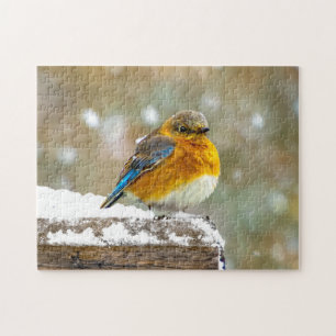 Quebra-cabeça Pássaro-azul-do-leste na Neve - Fotografia Origina