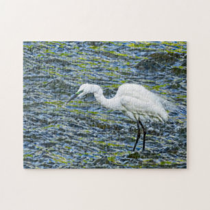Quebra-cabeça Pássaro Branca Neve Egret Heron