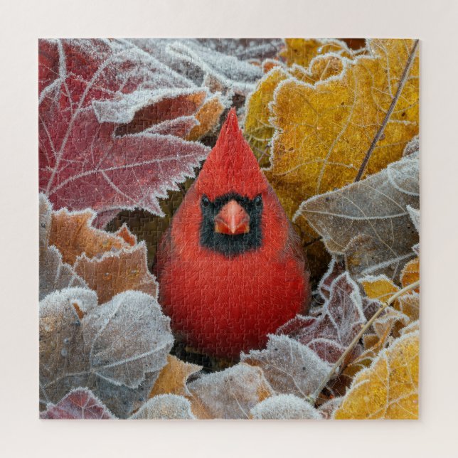 Quebra-cabeça Pássaro Cardinal Vermelho em Folhas de Outono Cong (Vertical)