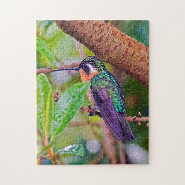 Quebra-cabeça Pássaro da Costa Rica - Beija-flor-de-garganta-ígn (Vertical)