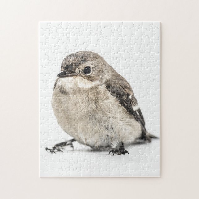 Quebra-cabeça Pássaro do Jardim (Vertical)