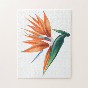 Quebra-cabeça Pássaro do paraíso, flor exótica estrelitzia