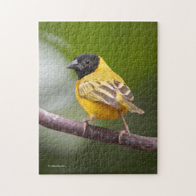 Quebra-cabeça Pássaro Espessura Negra Estonteante (Vertical)