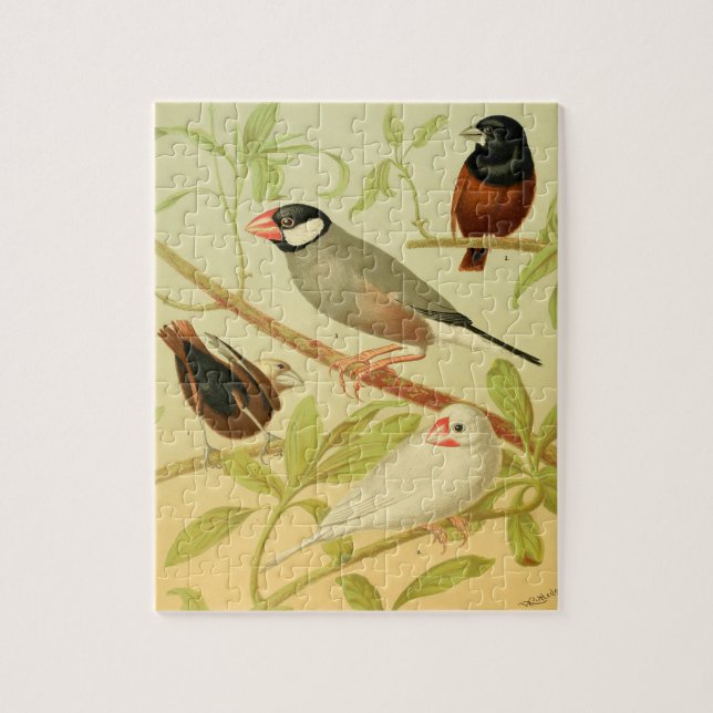 Quebra-cabeça pássaro finch e pardal antigos (Vertical)