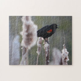 Quebra-cabeça Pássaro Negro de asa vermelha (Agelaius phoeniceus