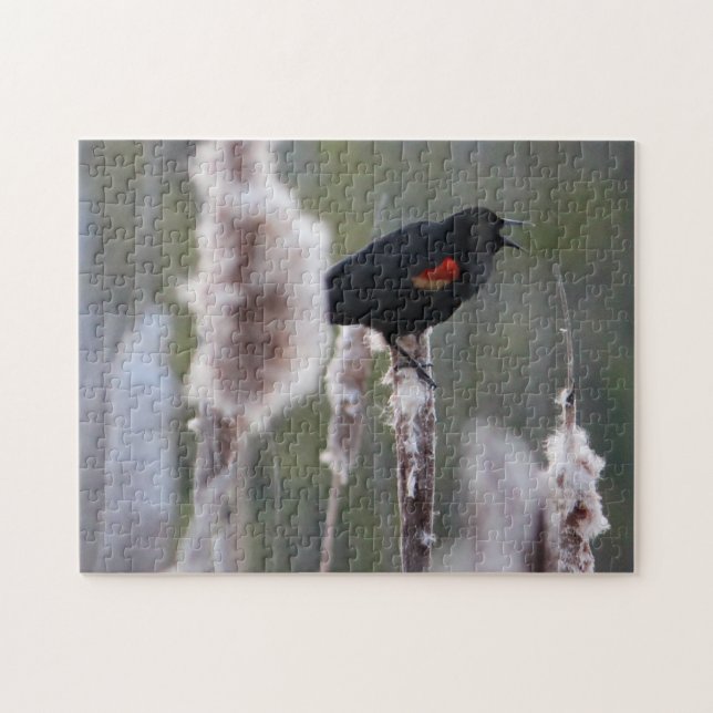 Quebra-cabeça Pássaro Negro de asa vermelha (Agelaius phoeniceus (Horizontal)