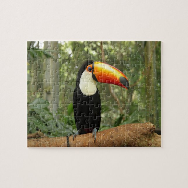 Quebra-cabeça Pássaro tucano no galho da árvore (Horizontal)