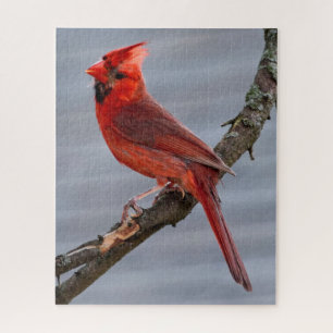 Quebra-cabeça - Pássaro vermelho - 16x20 cardinal - PC 520