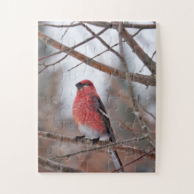 Quebra-cabeça Pássaro Vermelho na Neve de Inverno (Vertical)