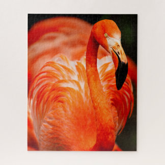 Quebra-cabeça Pássaro Vibrant Flamingo Wildlife