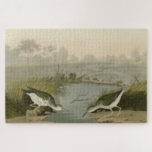 Quebra-cabeça Pássaros de Ataque de Audubon's Birds of America