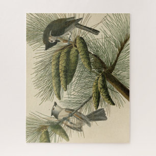 Quebra-cabeça Pássaros de Titmouse da América Crested (Tufted)