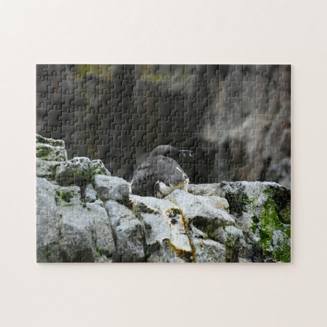 Quebra-cabeça Pássaros do mar. (Horizontal)