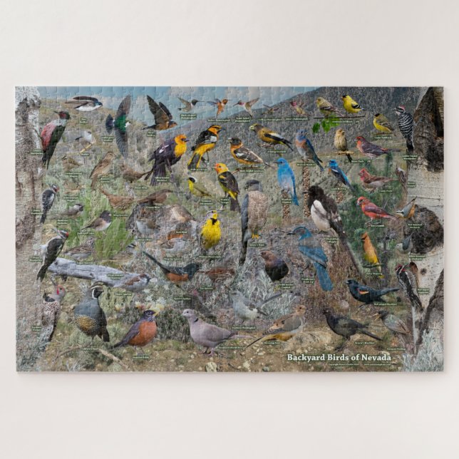 Quebra-cabeça Pássaros do quintal de Nevada (Horizontal)