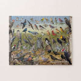 Quebra-cabeça Pássaros do quintal do Kansas