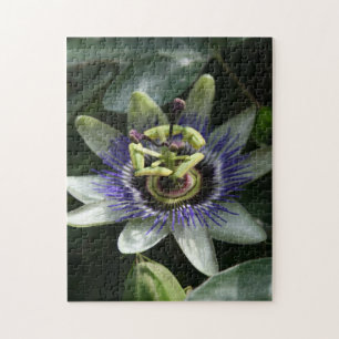 Quebra-cabeça Passiflora Fleur de la Passion Foto Floral Quebra-