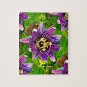 Quebra-cabeça Passionflower