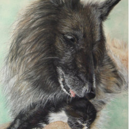 Quebra-cabeça pastor da bélgica gatinho preto