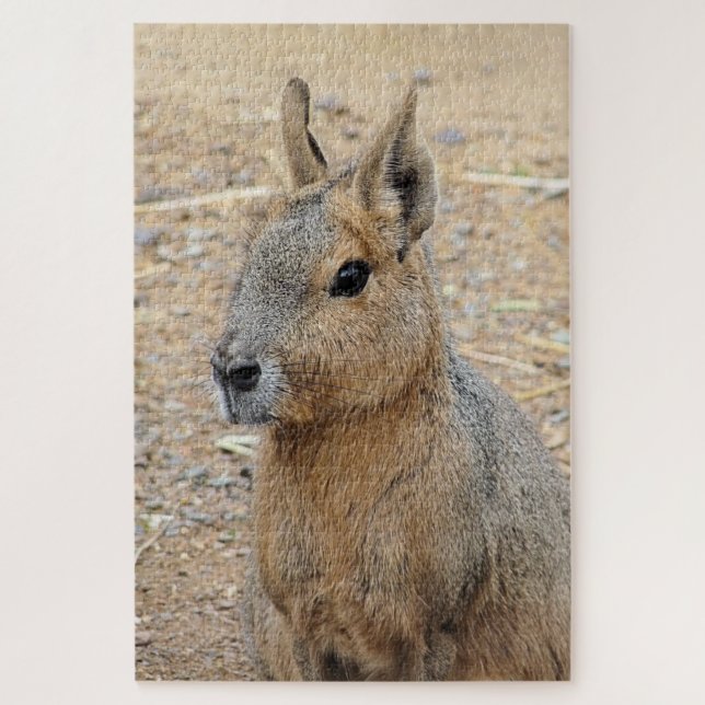 QUEBRA-CABEÇA PATAGONIAN MARA (Vertical)