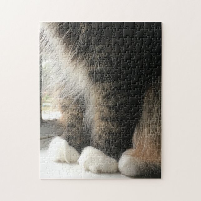 Quebra-cabeça Patas Fluffy Cat (Vertical)