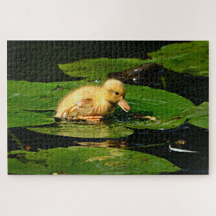 Quebra-cabeça Pato Amarelo Flutuando em Lily Pads