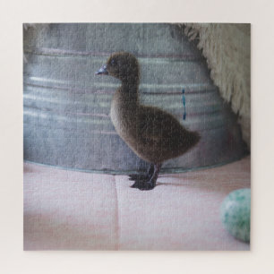 Quebra-cabeça Pato-bebê castanho-escuro