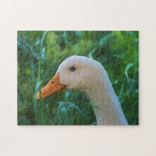 Quebra-cabeça Pato branco de Pekin