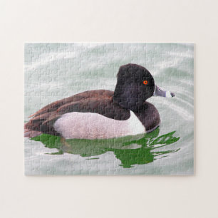 Quebra-cabeça Pato Colado do Anel
