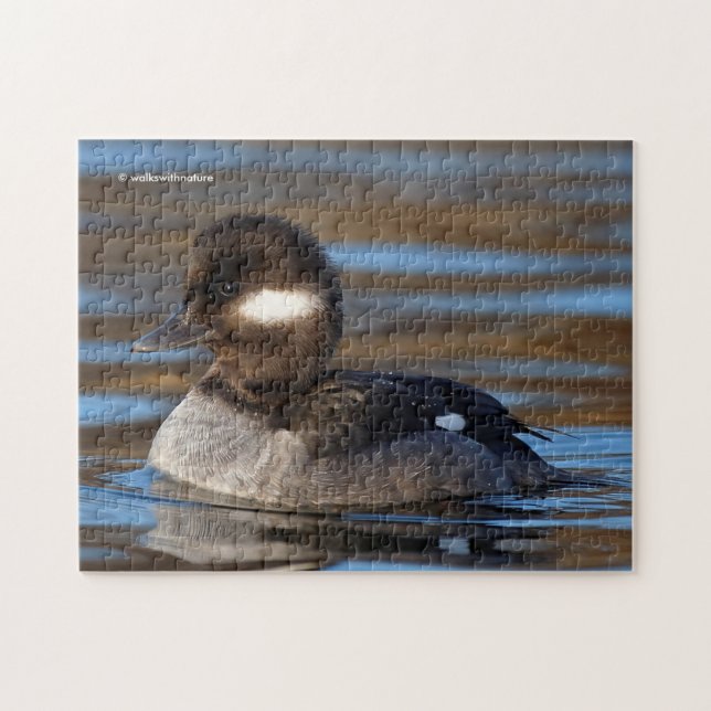Quebra-cabeça Pato de Bufflehead Doce em Águas Luminosas (Horizontal)