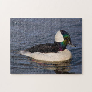 Quebra-cabeça Pato de Cabeça de Cabeça de Carneiro na Tarde